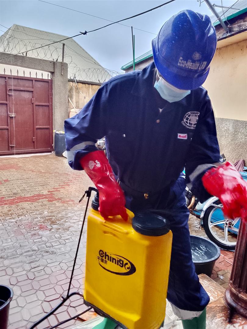 Dealing with a pest Infestation